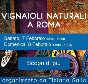 VIGNAIOLI NATURALI – ROMA 7-8 FEBBRAIO 2015